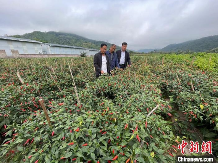 云南高原特色农业